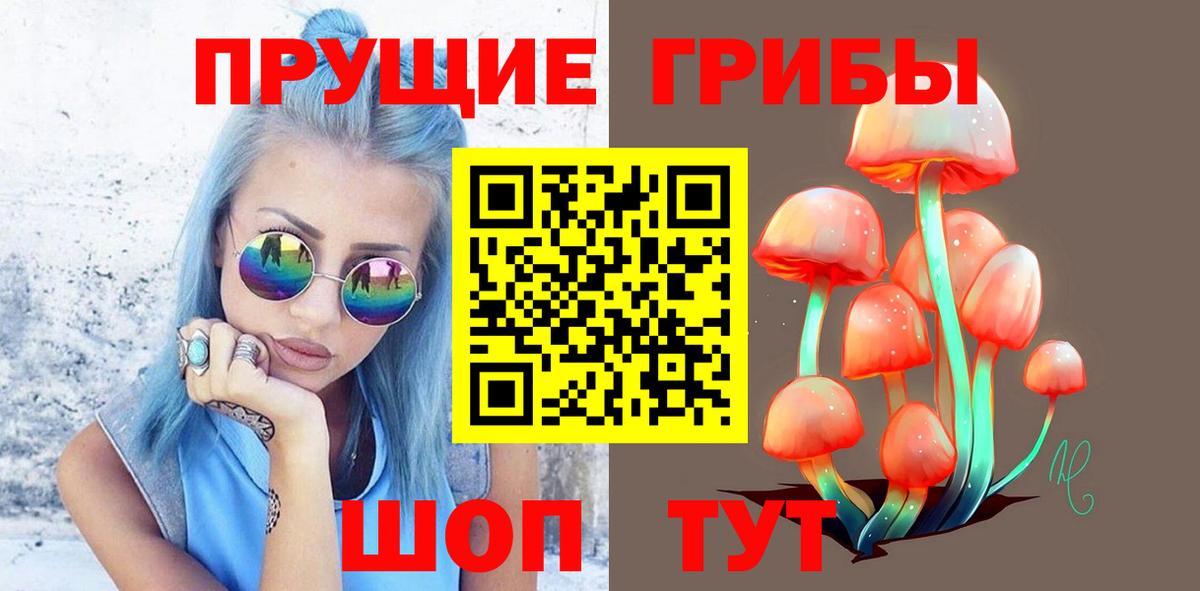 Псилоцибиновые грибы мухоморы Можайск